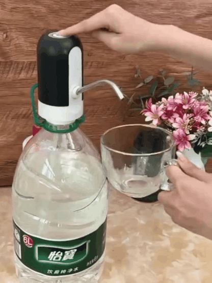 Electric Water Pump
